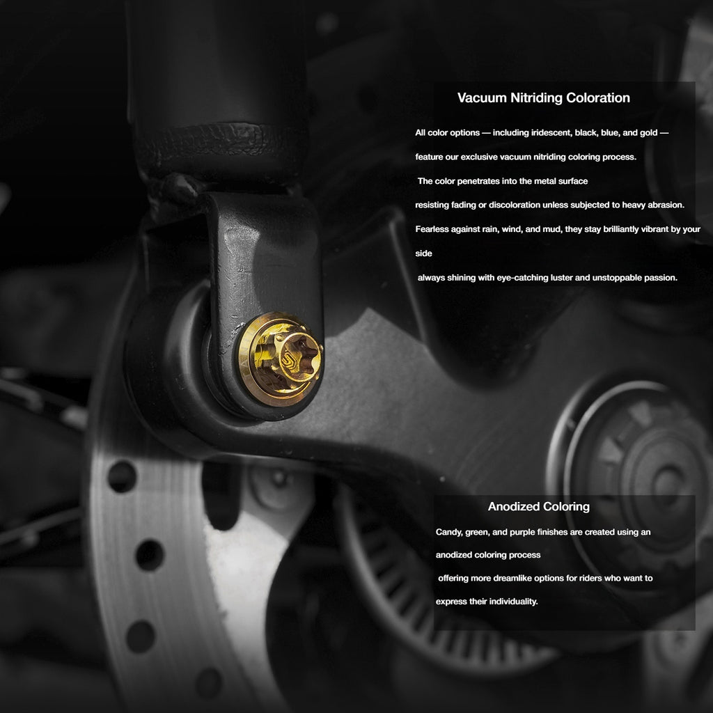 Titanium Alloy Bolts Compatible with BMW C400GT Motorcycle Upgrade Fasteners