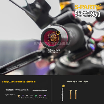 SPARTS Ducati New Monster SP 950 Titanium Alloy Bolts