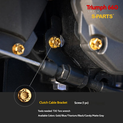 SPARTS Titanium Fastener Bolts for Triumph Trident 660 Motorcycle Modification