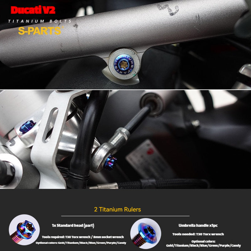 S-PARTS  Compatible with / Suitable for Ducati DUCATI V2 Full Titanium Bolt Kit