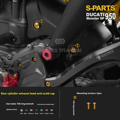 SPARTS Ducati New Monster SP 950 Titanium Alloy Bolts