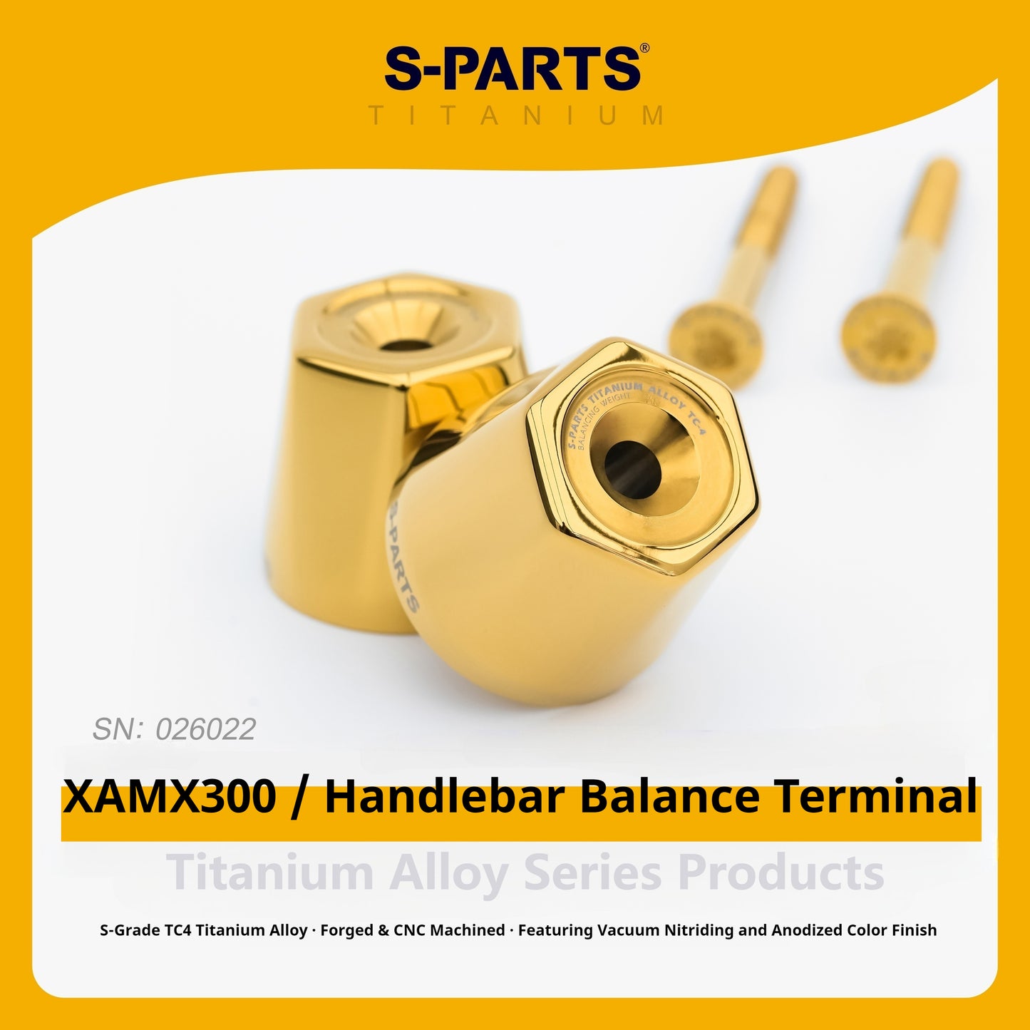 Yamaha XMAX 300 – TC4 Titanium Handlebar End Bolts Kit