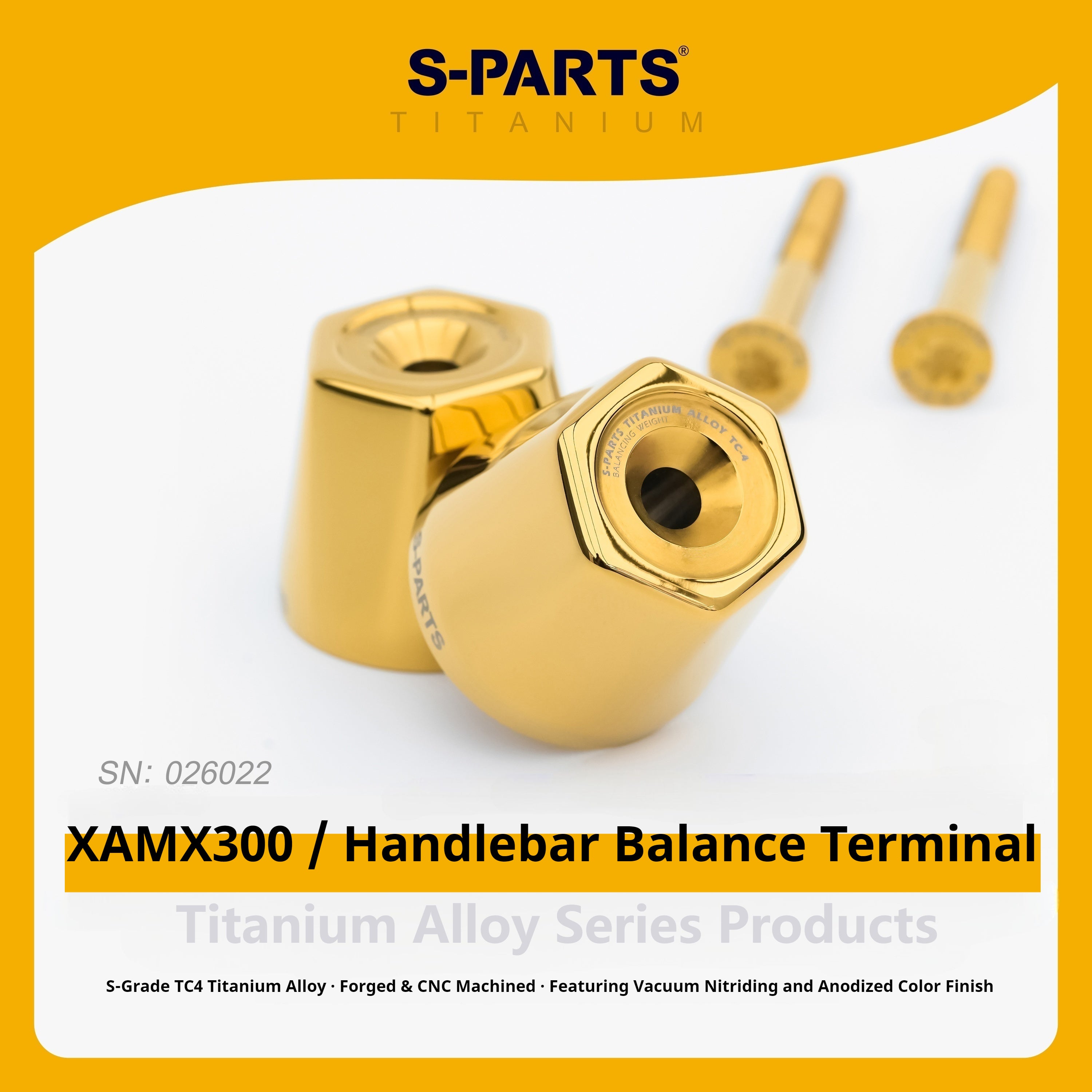 Yamaha XMAX 300 – TC4 Titanium Handlebar End Bolts Kit